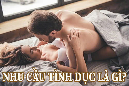 Nhu cầu tình dục là gì